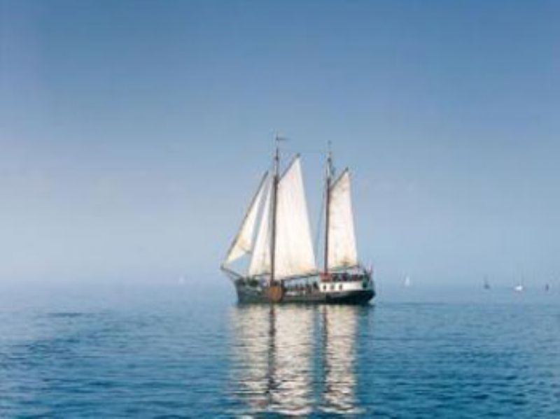 Bezoek de website van: Z.P.S. Marinus - Arrangements Z.P.S. Marinus - Arrangements