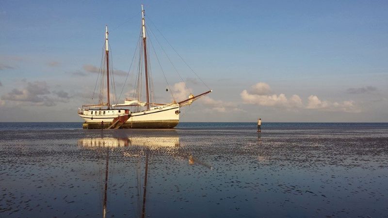 Bezoek de website van: Segelschiff Mars - Klassenfahrten Segelschiff Mars - Klassenfahrten