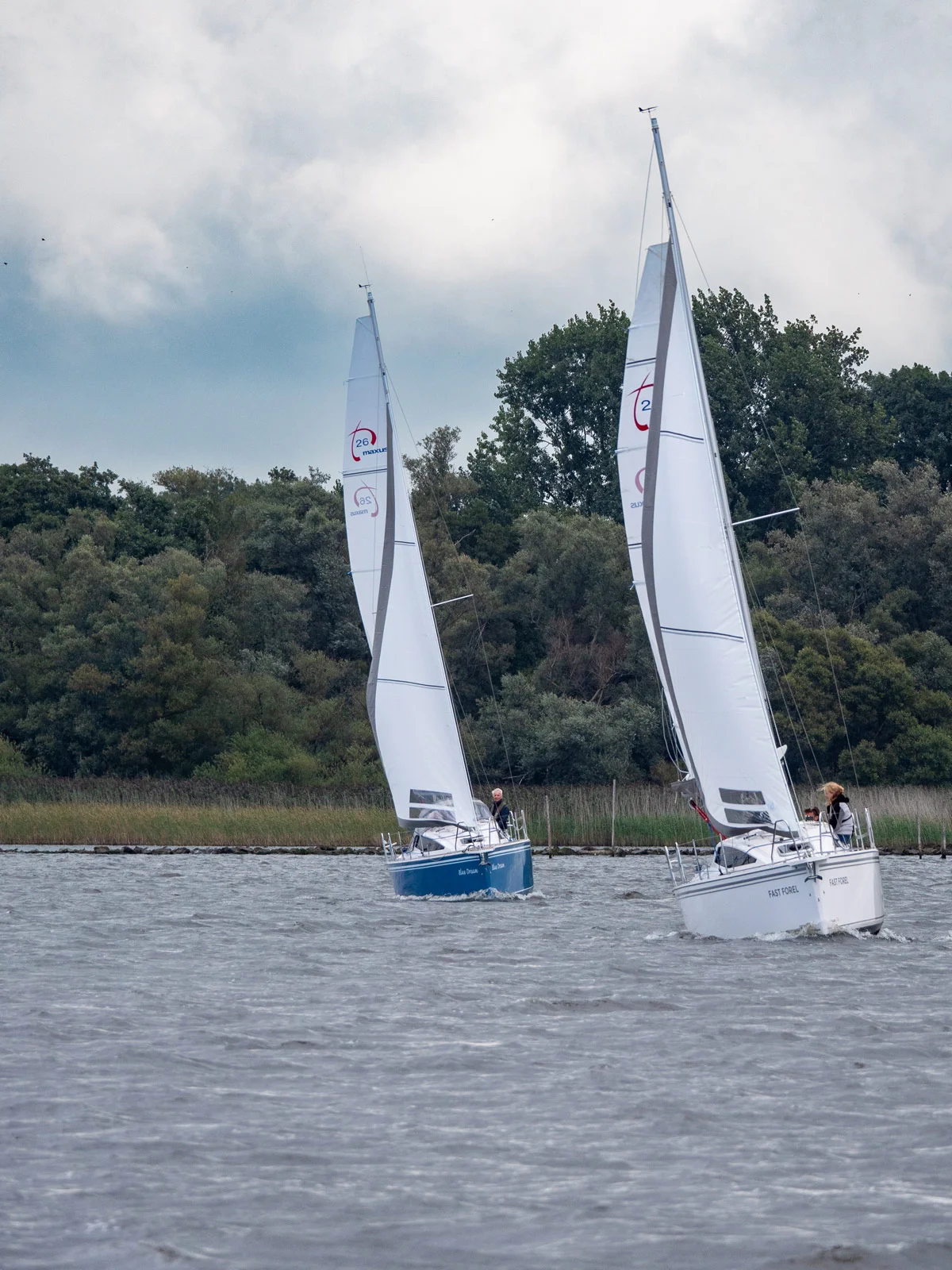 Natural Yachts-2