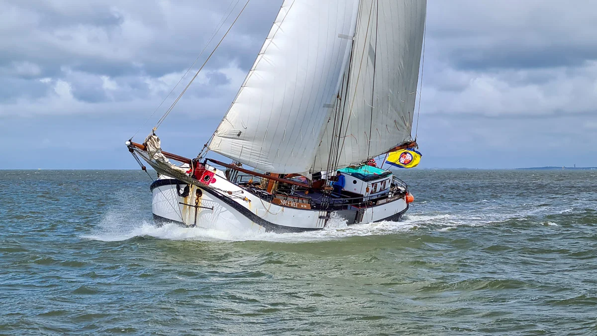 Zeilrederij Bosch-0